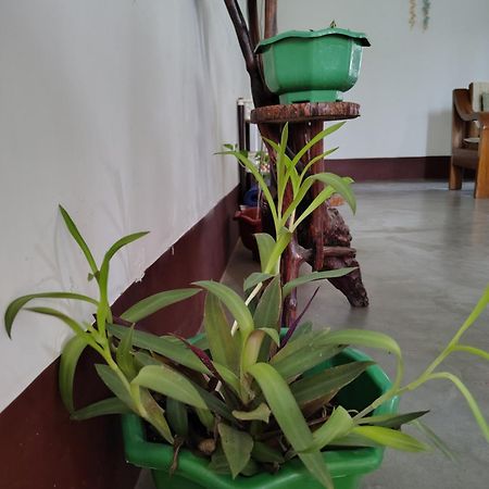 Gayatri Homestay Dibrugarh 外观 照片